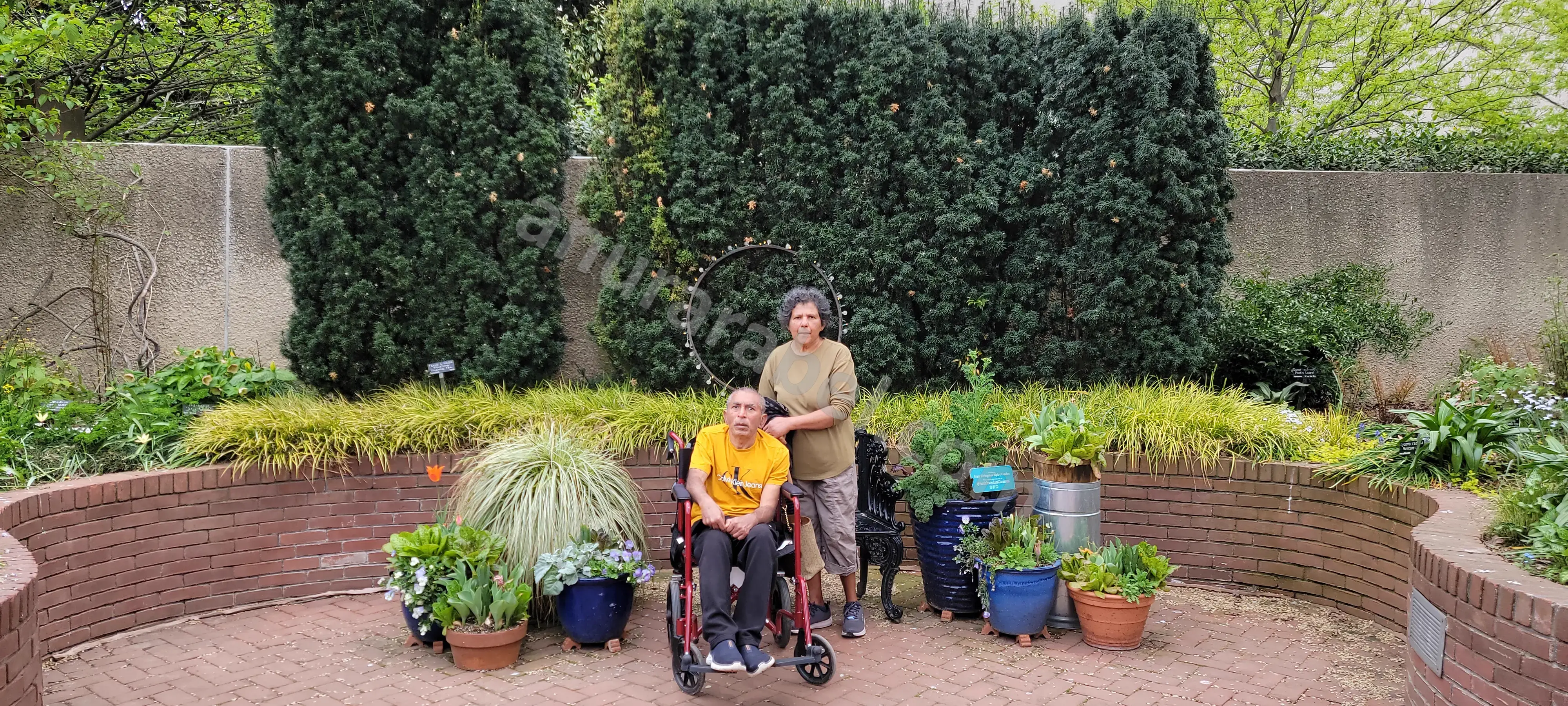 Anura with Jayamini, Chamara, and Ruwanthi at Flinn Park in Kensington